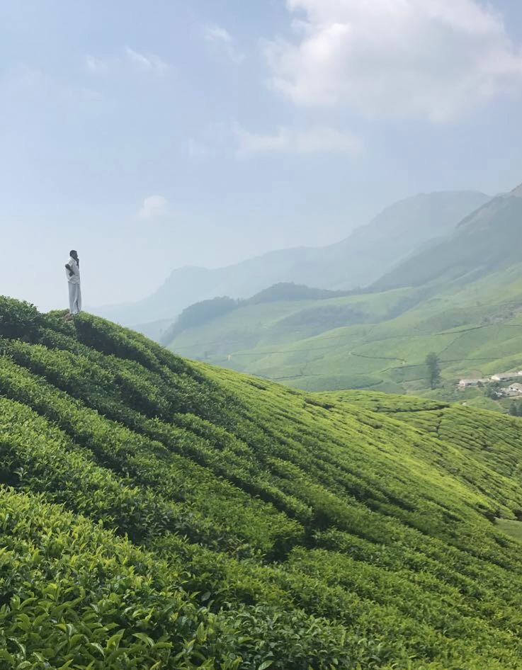 A mystical scene of green tiled hills that appear endless at the Kereal Tea Estate