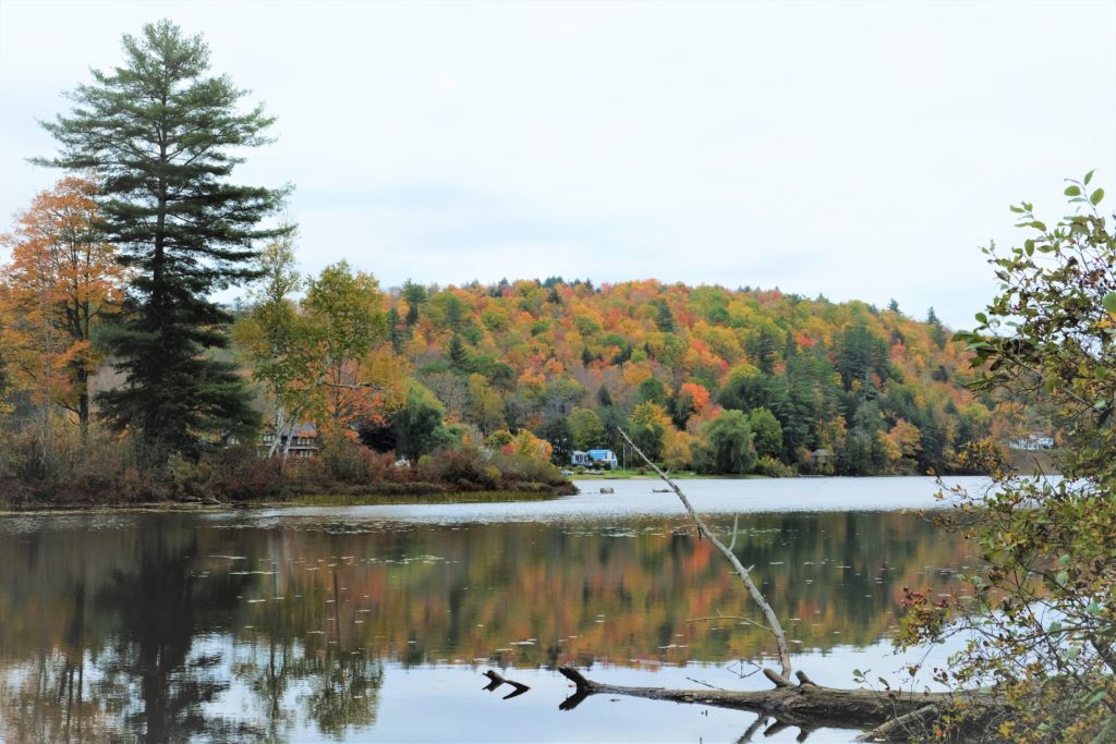 Vermont Scenic View