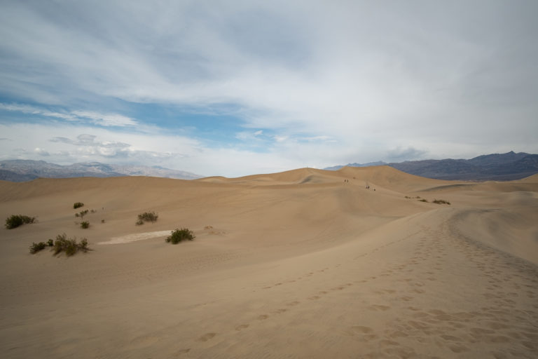 Mesquite Sand Dune