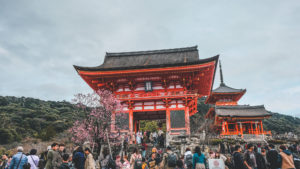 Read more about the article Tokyo or Kyoto?