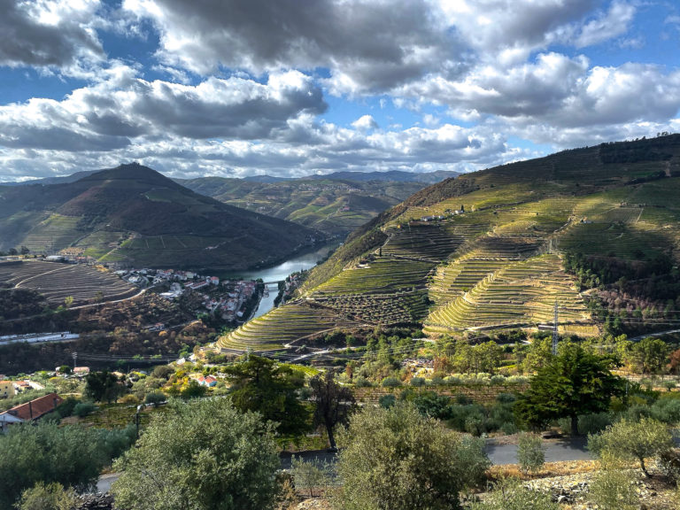 Douro Valley with river surrounded by vineyards