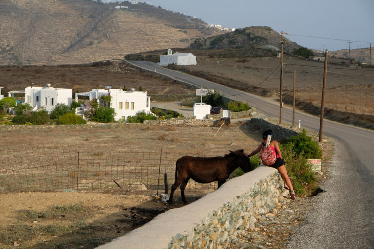 Girl petting a horse along a morning walk in Folegandros